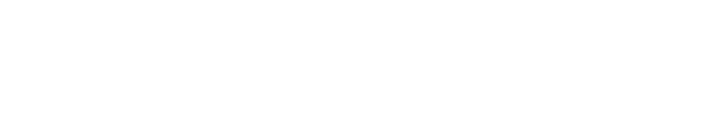 flying goalie logo