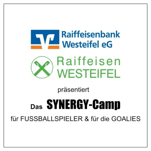 SYNERGY-Camp 2025