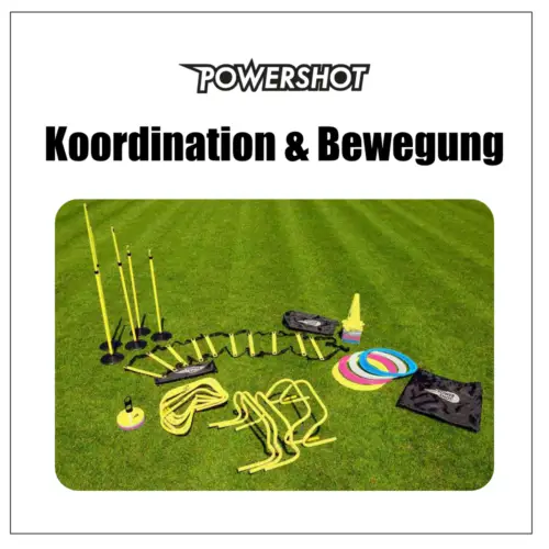 Koordination & Bewegung