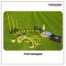 powershot_profi-trainingsset