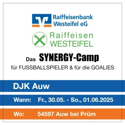 synergy-camp