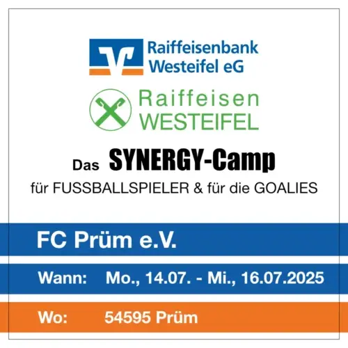 synergy-camp